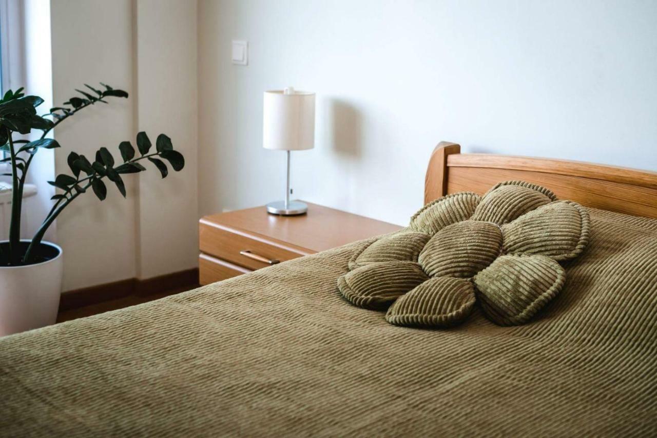 New Apartament Very Close To The City Centre VNO Eksteriør billede