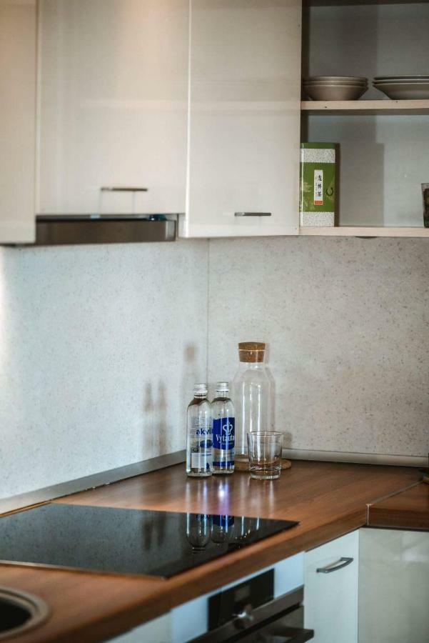 New Apartament Very Close To The City Centre VNO Eksteriør billede